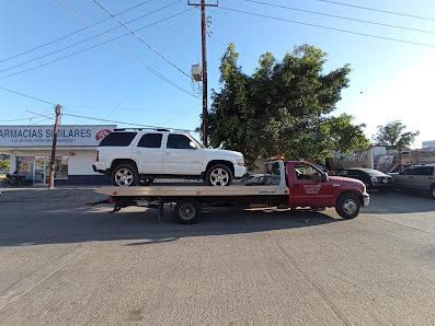 Grúas Y Transporte De Máquinaria Pellegrini